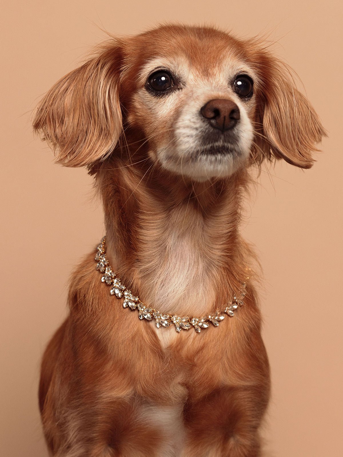 Petite Lucy Pendant Necklace