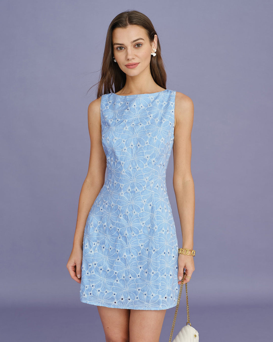 Morgan and Brooke | Sleeveless Mini Dress in Blue Embroidery
